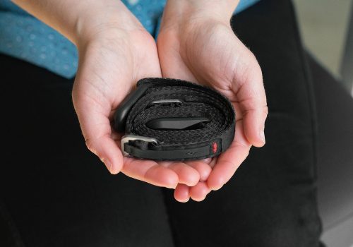 leash-9