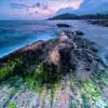 _DSC1740 (1)