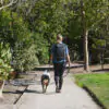 peak-design-everyday-backpack-33
