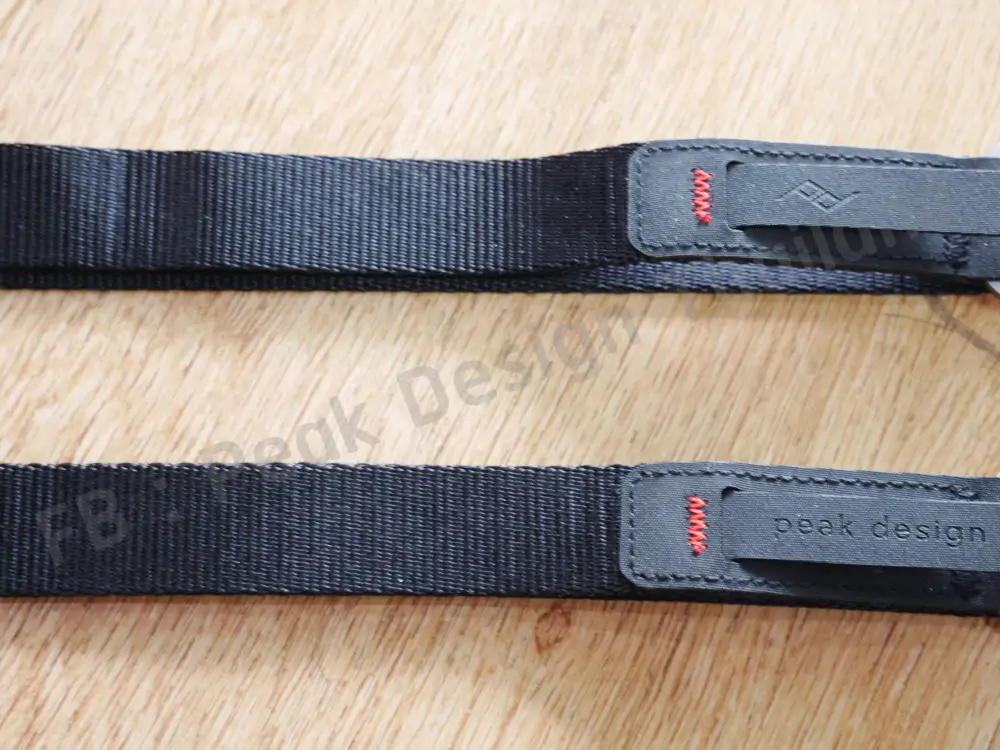 leash-new-version-review-8