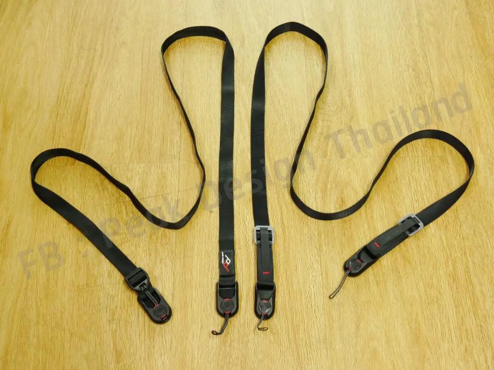 leash-new-version-review-17