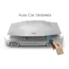 Auto-Silver