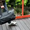 travel-duffel-35l-5