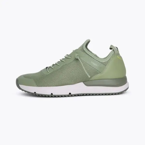 Sage_Green_1_e56b3147-7e67-42e9-b299-890f2e8ce917_1800x1800