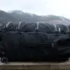 DSCF2822